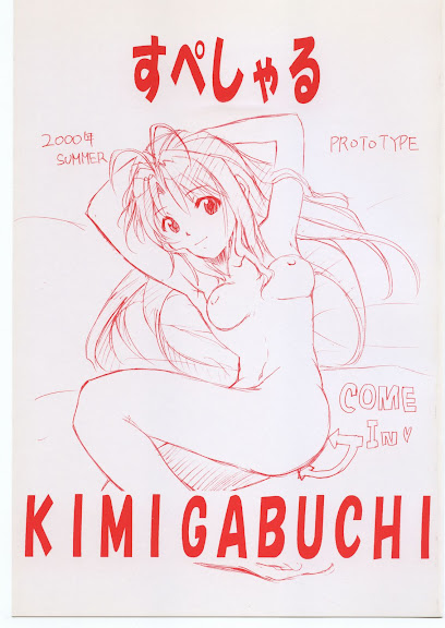 Special Kimigabuchi