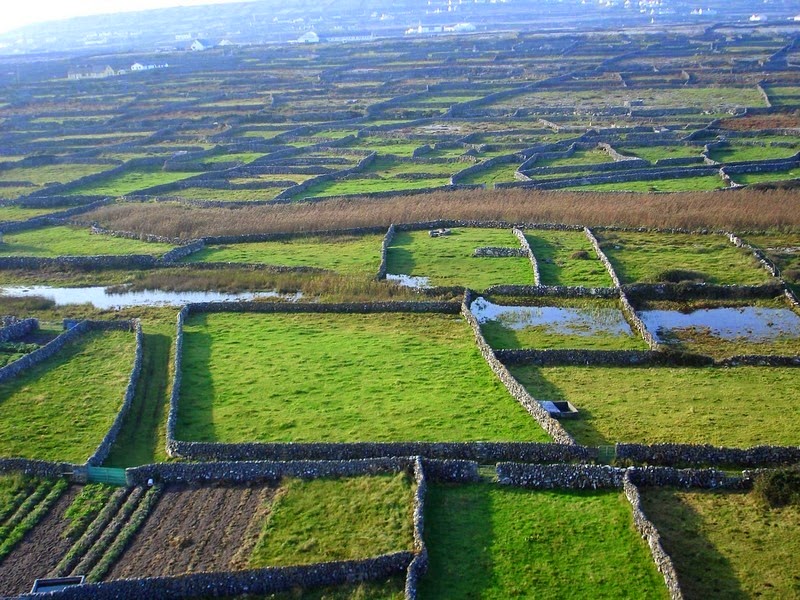 stone-walls-ireland-10