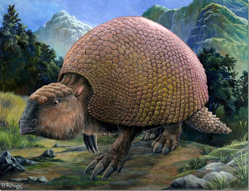 Glyptodon_(Riha2000)