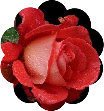 version-3c988732b85c813828bbdc9be04764f7 version-3c988732b85c813828bbdc9be04764f7