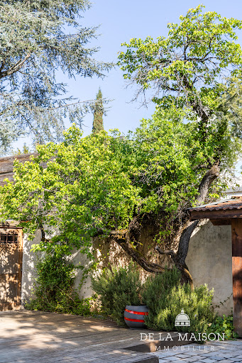 House with pool and garden 1