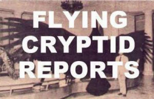 Reader Submissions Flying Cryptid Reports