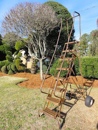 771 New topiary garden in sc 29 goGardenNow: The Pearl Fryar Topiary Garden, Bishopville, SC 