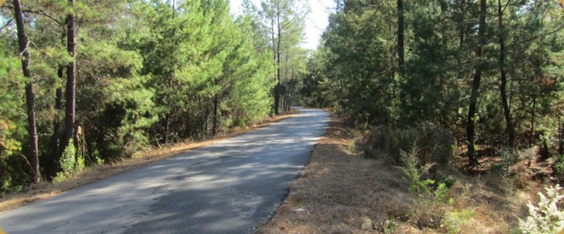 Palatka Trail