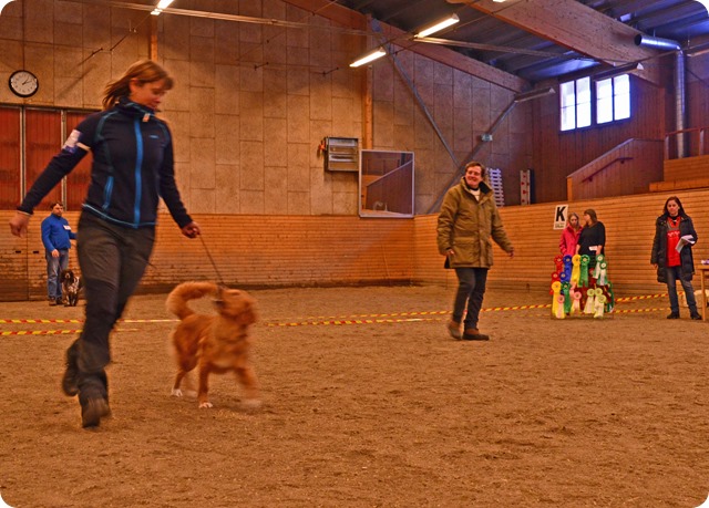 DSC_1082b DSC_1082b