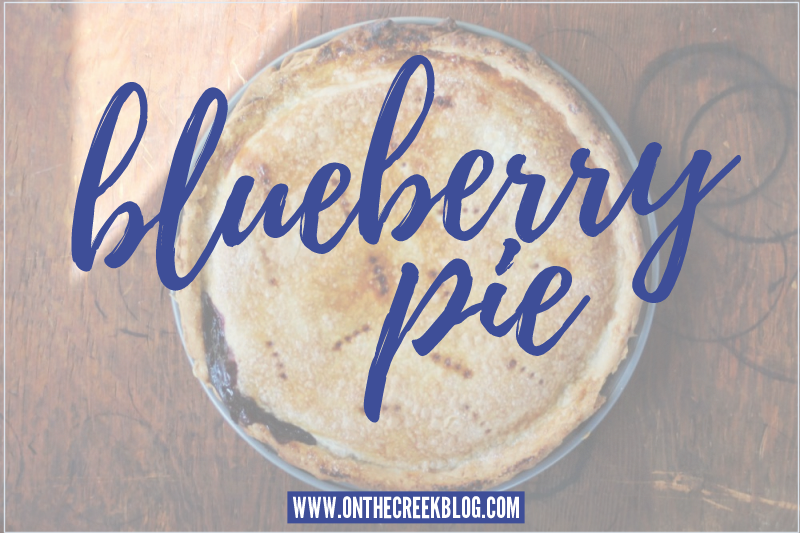 Homemade Blueberry Pie