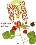 木の実・草の実 (せんせい！ これなあに？)