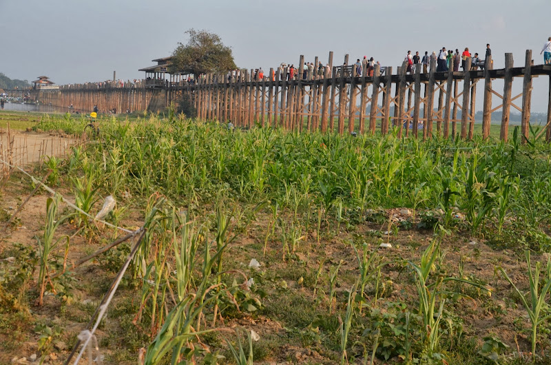 u bein bridge