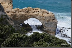 Great Ocean Road - The Arch