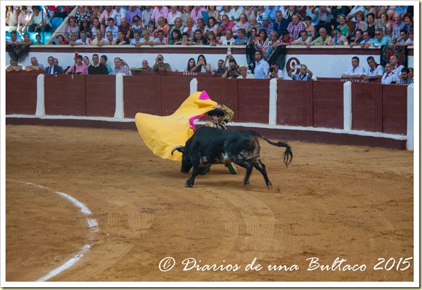 Toros Feria 2015-9853
