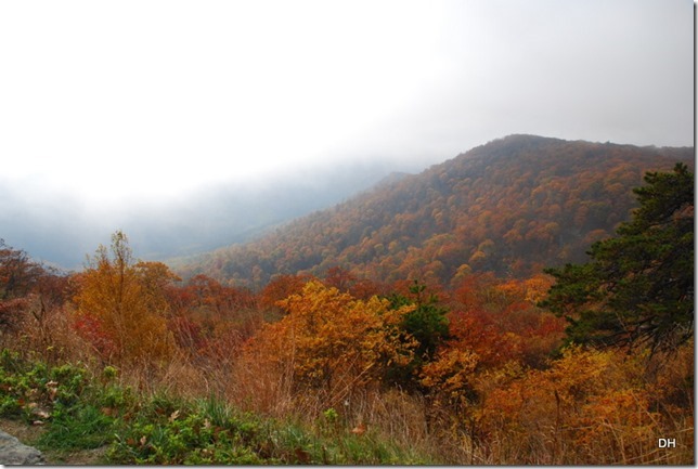 10-23-15 A Skyline Drive Shenandoah NP (93)