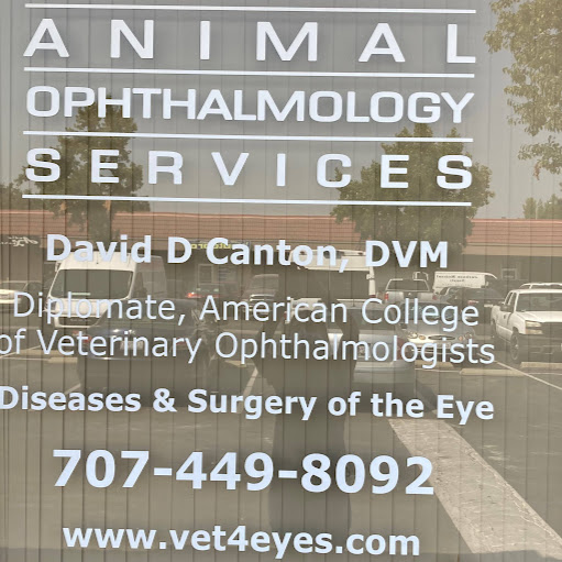 Animal Ophthalmology Services