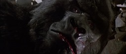 00-5 la mort de Kong