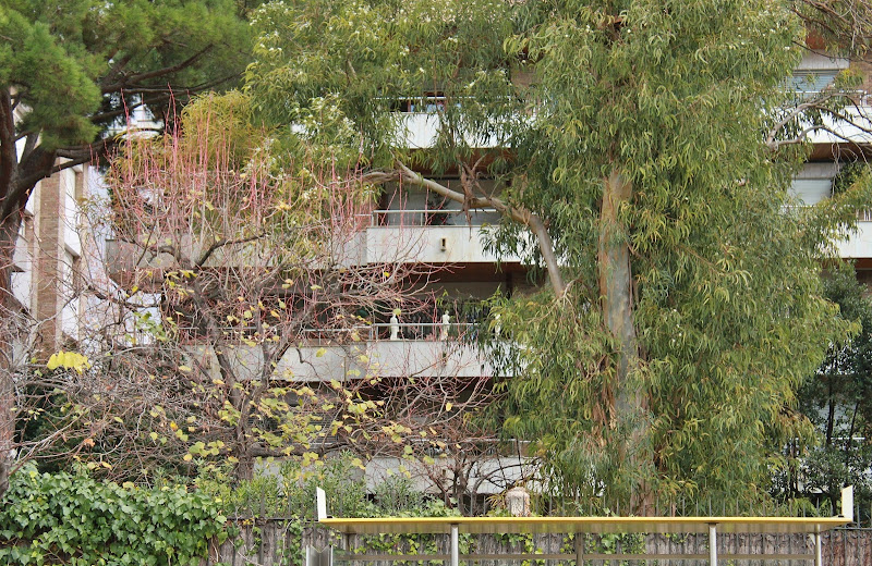 Круиз для лентяев и одиночек: Norwegian Spirit из Барселоны на Канары в январе 2013