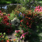 Arboretum de la Vallée-aux-Loups :