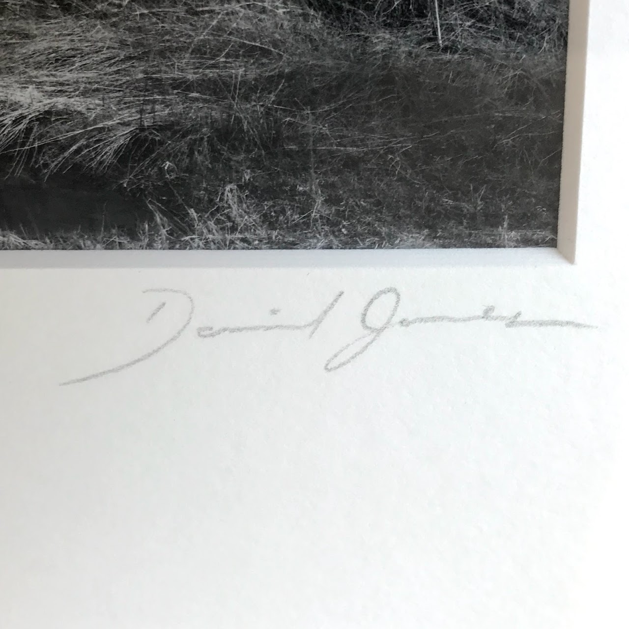 Daniel Jones 'Fantasy' Signed Photograph