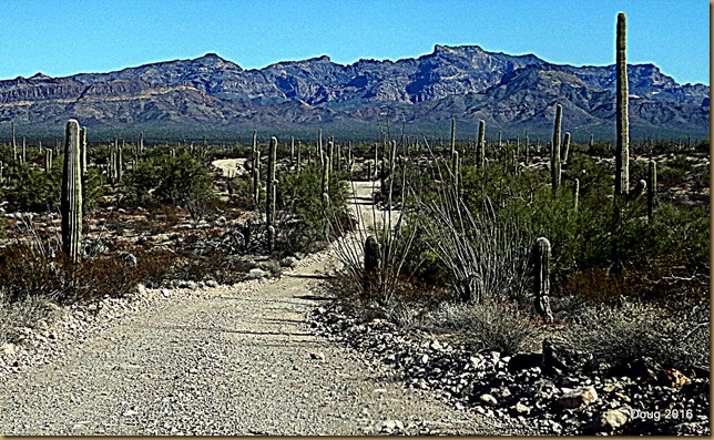 Puerto Blanco Mountains