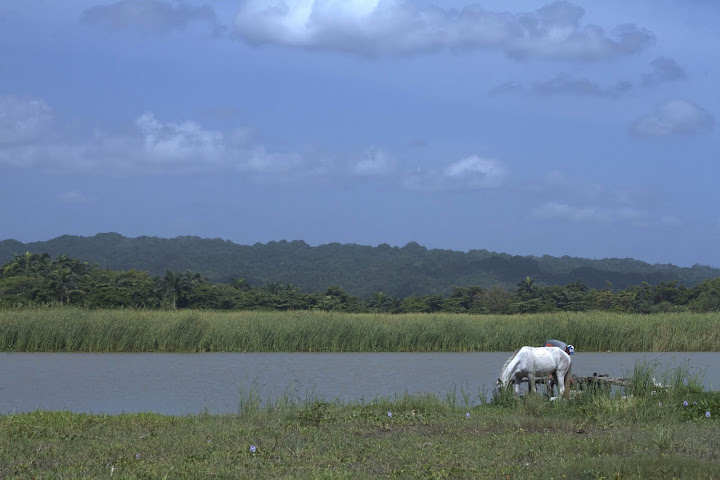 Dominican Republic