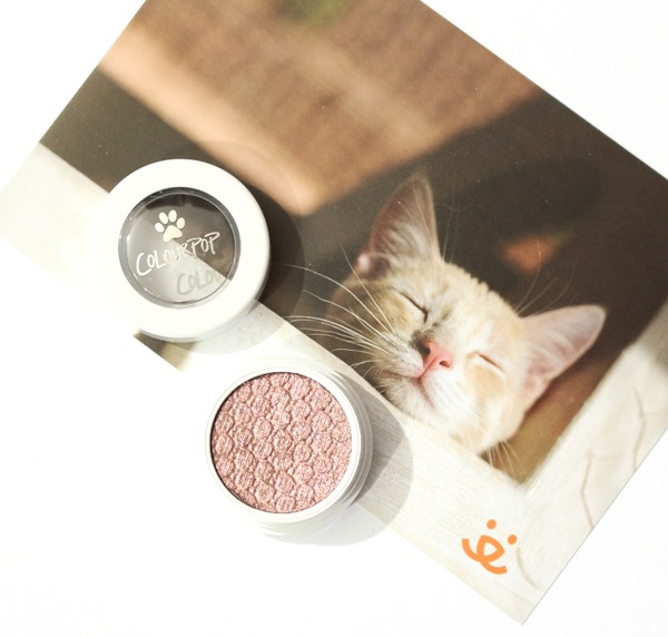 CatNapSuperShochShadowColourPop1