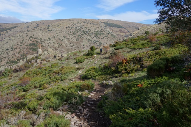 Comunidad de Madrid: pueblos, rutas y lugares, incluyendo senderismo - Blogs de España - Cascada del Hornillo, Sta. Mª de la Alameda (Madrid). Monasterio del Escorial. (26)