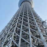 tokyo sky tree in Roppongi, Japan 