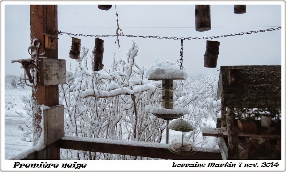 Première neige aux mangeoires  Premi%C3%A8re%2Bneige%2Bavant%2Bcs%2B_4560