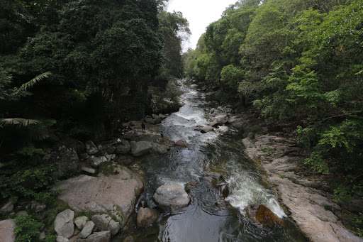 Chamang River Recreational Forest
