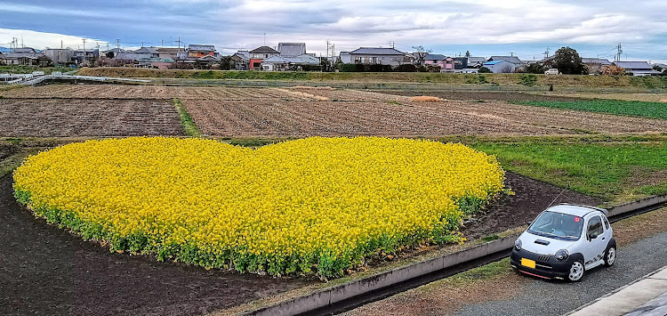 の投稿画像3枚目