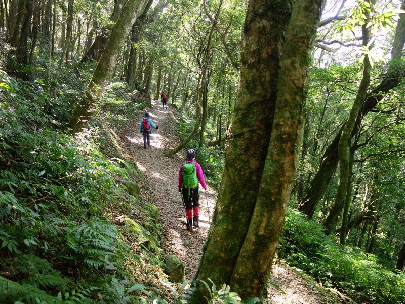 2013_1207 東滿步道→拉卡山→北插天山水源地_130