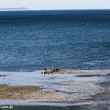 Península Valdez, Argentina