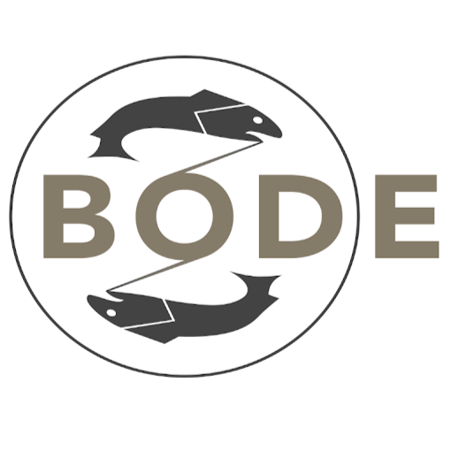 Gebr. Bode GmbH logo