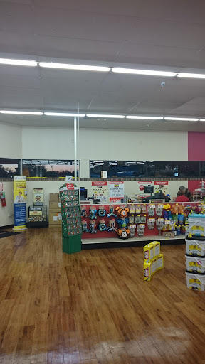 Pet Supply Store «Pet Supermarket», reviews and photos, 1235 Providence Blvd, Deltona, FL 32725, USA