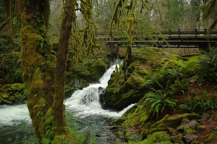 Blog de crabcake : Crab cake, Mini Road Trip to Oregon - part 2