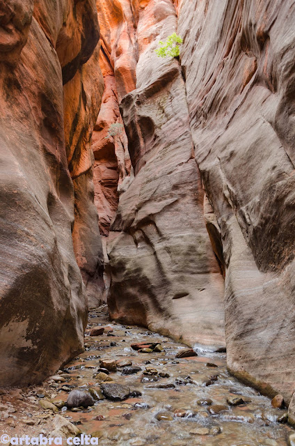 KANARRA FALLS (UTAH, USA), Excursiones-USA (10)