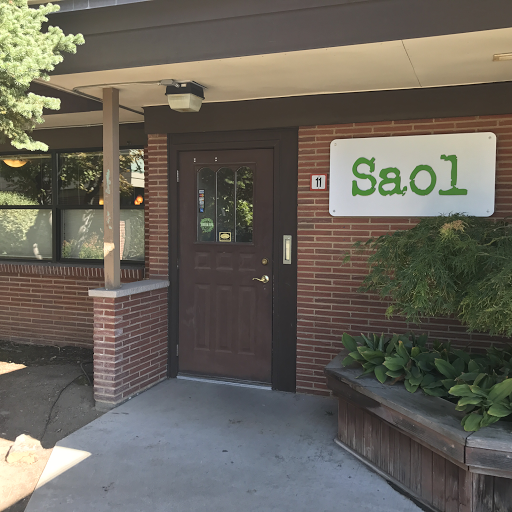 Saol Salon