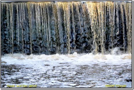 Bradgate Park - December