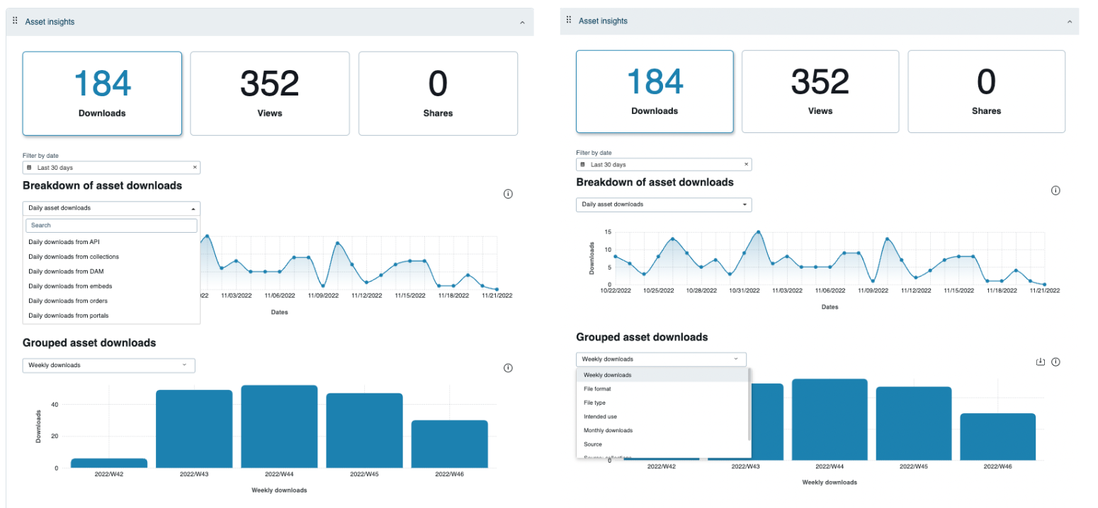 Screenshots of the downloads dashboards in Widen Insights. 