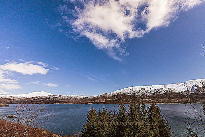 Spring photos taken from the road to Offersøy, Lødingen, Nordland. Photographer Benny Høynes