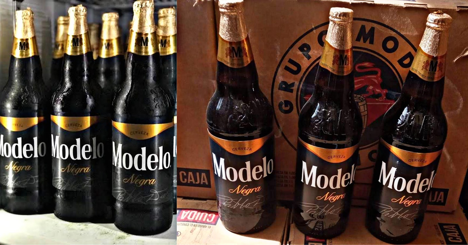 Cosas que no necesitas saber: Llega a Tlaxcala la caguama Negra Modelo ?  ¡Es bellísima!