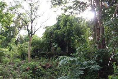 Photos of Phnea Kol Temple