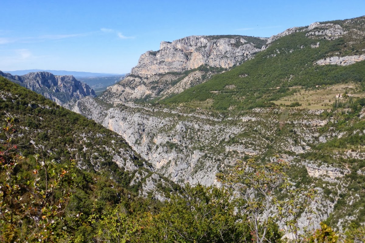 P1050843.JPG