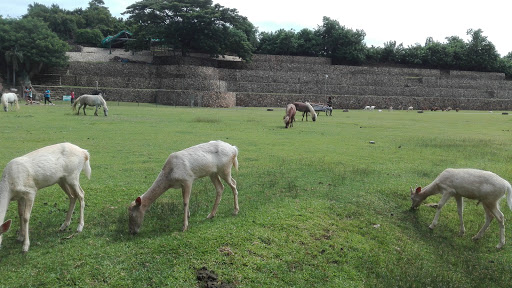 Baluarte