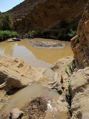 Large pool of water