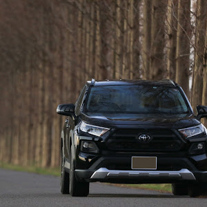 RAV4 MXAA54