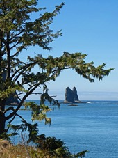 Ocean View, La Push Washington