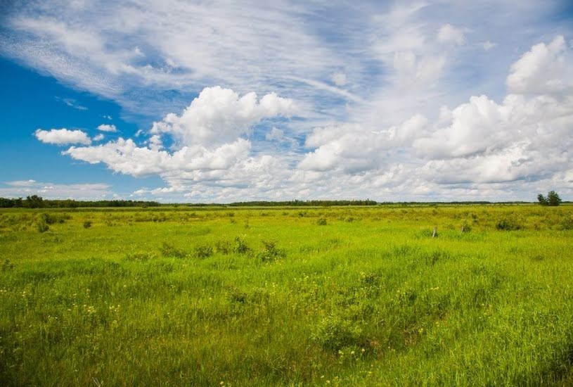  Vente Terrain + Maison - Terrain : 648m² - Maison : 137m² à La Croix-en-Touraine (37150) 