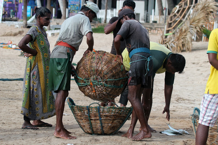 Улиткины под дождем. Шри Ланка-Мальдивы. Май 2015