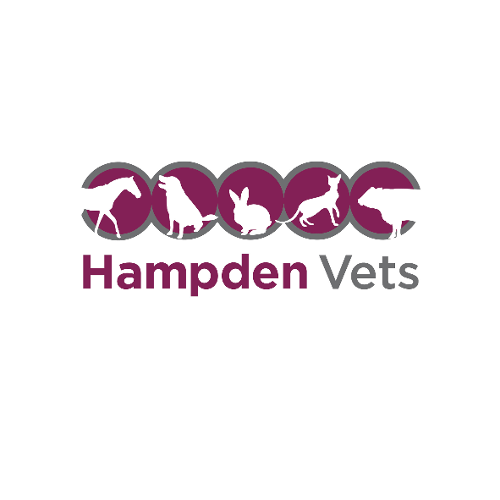 Best Friends Vet Group, Shenley