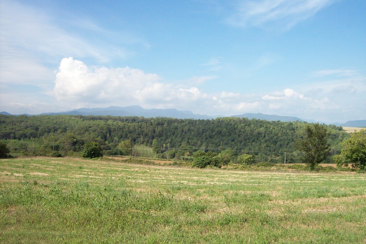 100_1911.JPG