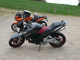 album cbf600.fr